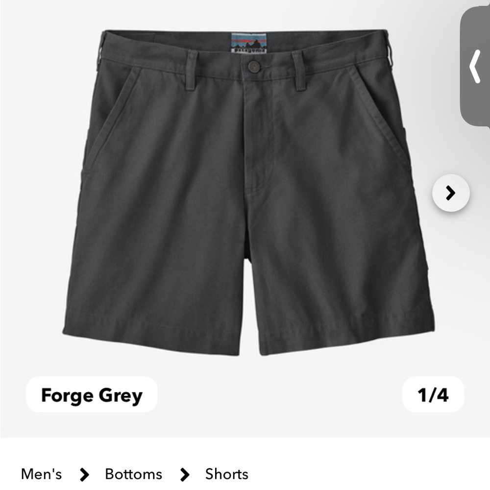 Color pelican NWT Patagonia shorts